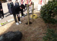 スクリーンショット 2026-02-13 154141