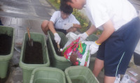 花植え