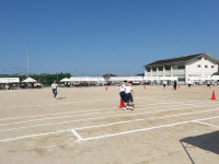 IMGP0005