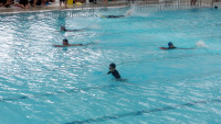 IMGP0156
